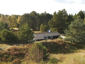 Ulkopuoli