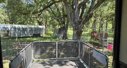 Just off I-5, RV available on a secluded lot. Close to town.