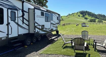 Just off I-5, RV available on secluded lot. 2 livestock stalls. Close to town.