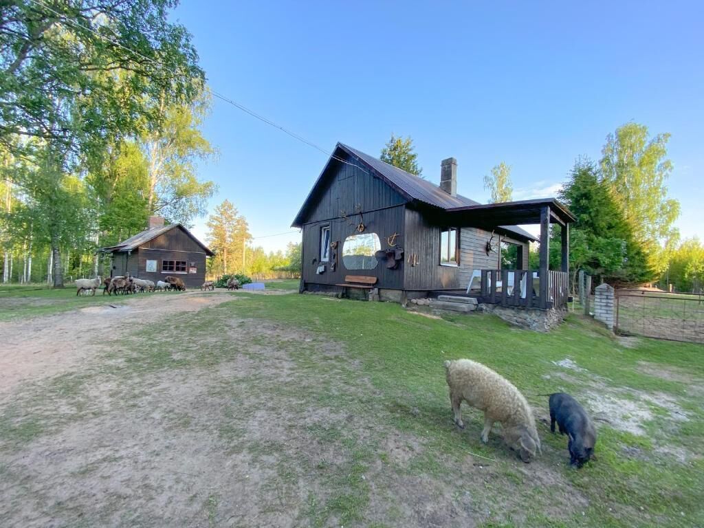 Overnatningsstedets område