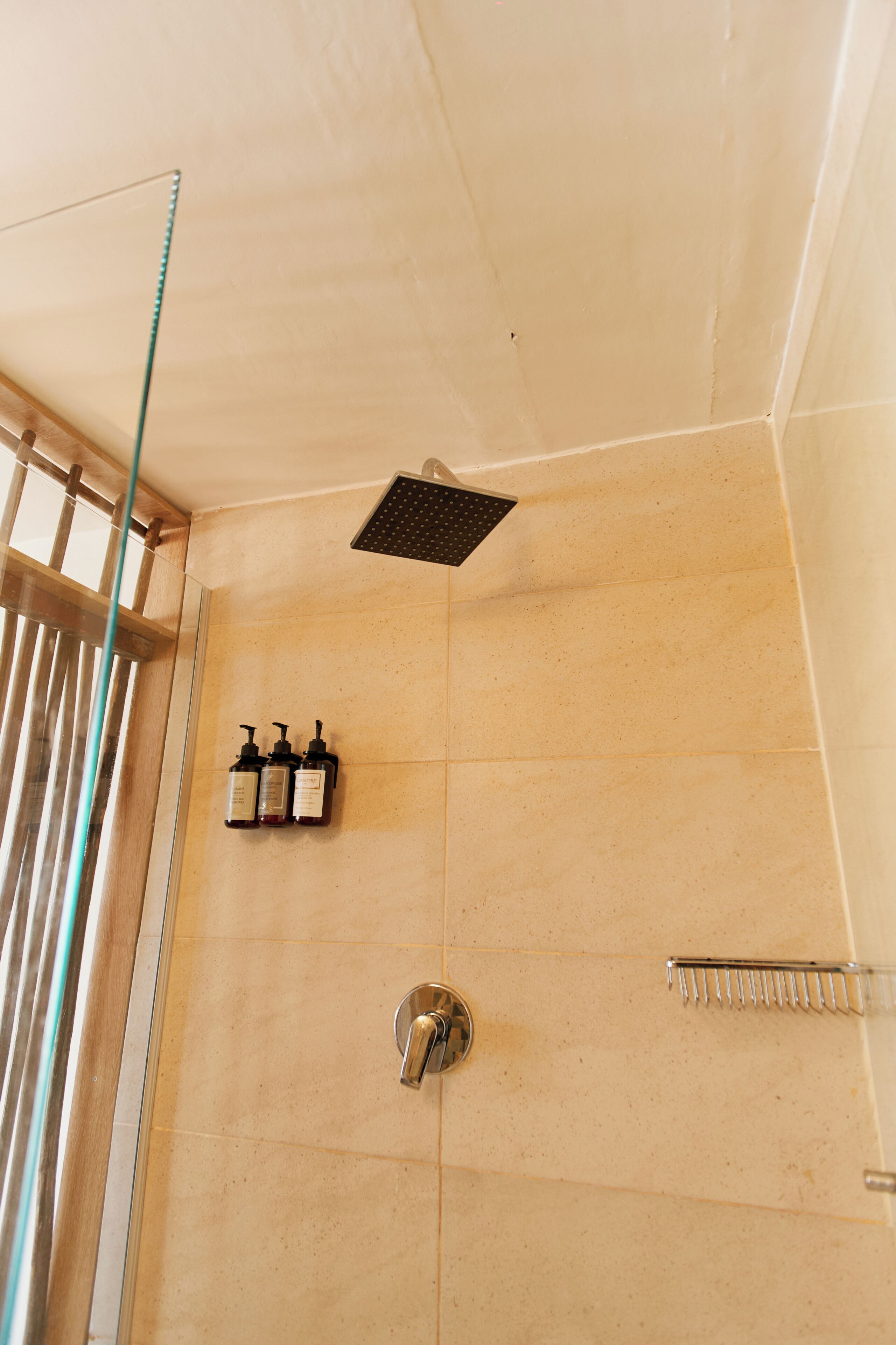 Une douche avec une porte en verre, un pommeau de douche amovible et deux bouteilles de shampoing.