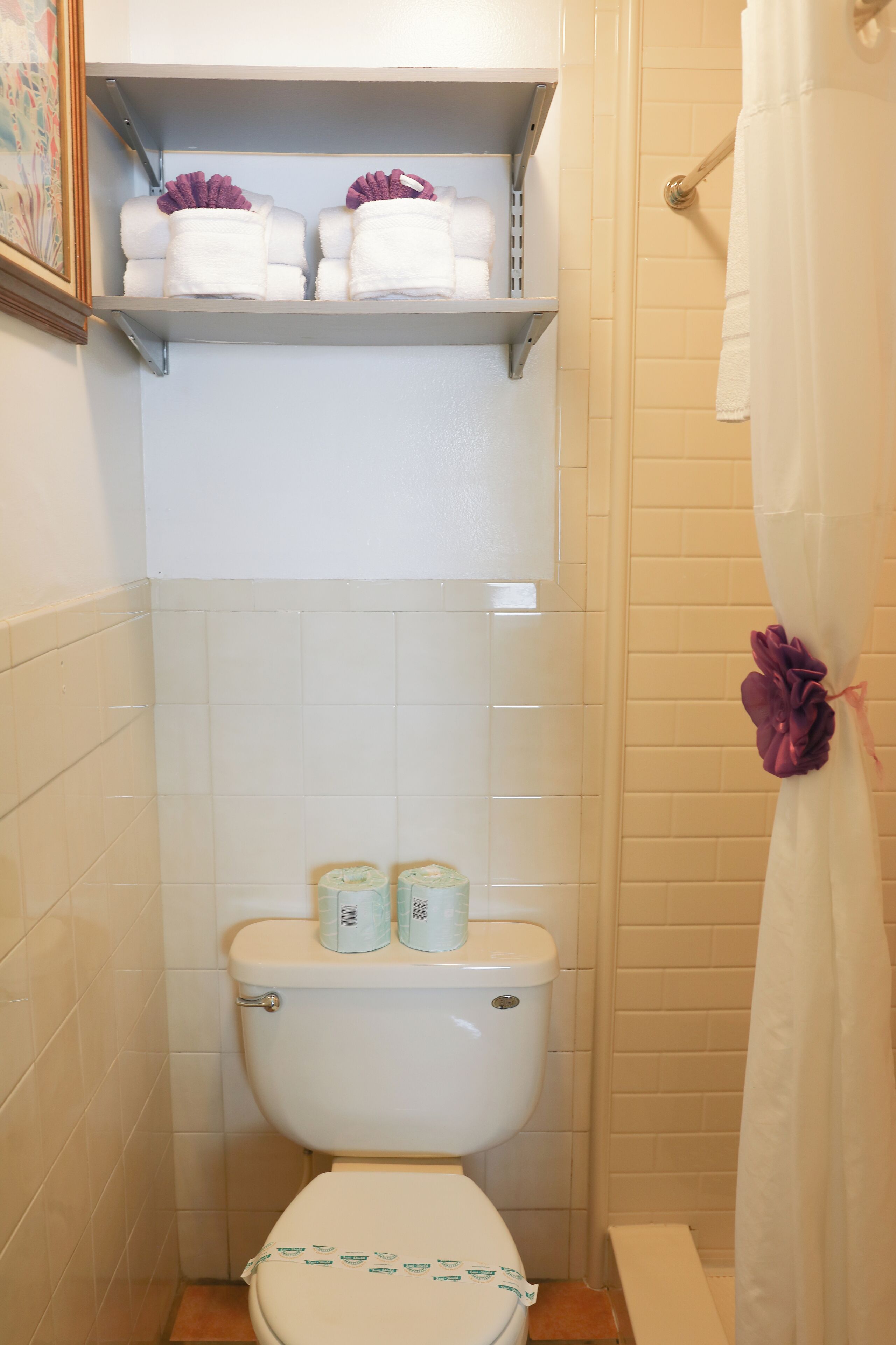 A bathroom with a toilet, a shelf with towels, and a shower curtain.