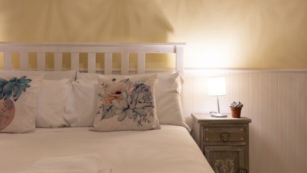 A bedroom with a white bed, floral pillows, a bedside table with a lamp, and a nightstand with a plant.