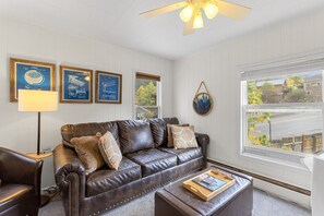 Televisor intel·ligent, llar de foc i llibres 