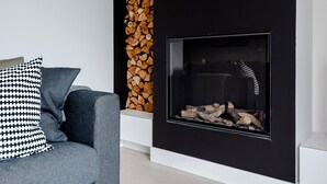 En moderne stue med en sort pejs, en grå sofa og en pude med et hundetandsmønster.