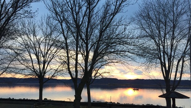 A lakeside view with trees and a gazebo.