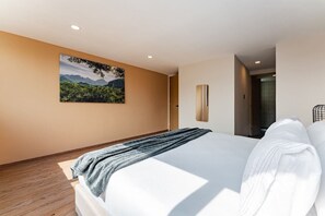 1 bedroom, iron/ironing board, WiFi, bed sheets - VH | Roma Norte | 1 hab + terraza | 329 (Ciudad de México)