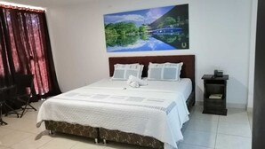 Room - Valle de San José (Valle de San Jose)