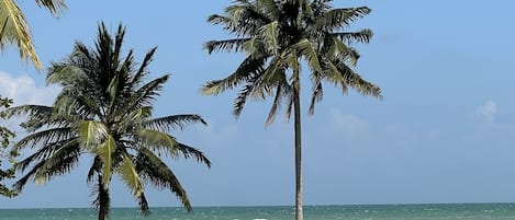 Liegestühle, Strandtücher