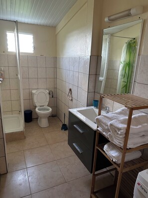 Shower, towels, toilet paper