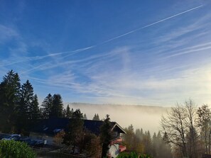 Uklassifisert bilde, 3 av 17, knapp