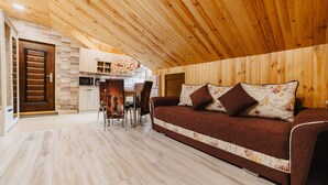 Living area - Zoo Adjacent Summit Flat By Brasov BnB (Brașov)