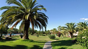 A pathway leading through a well-maintained garden with palm trees and a pool area.