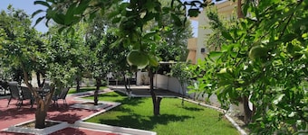 City Apartment w 3 BR Spacious Yard