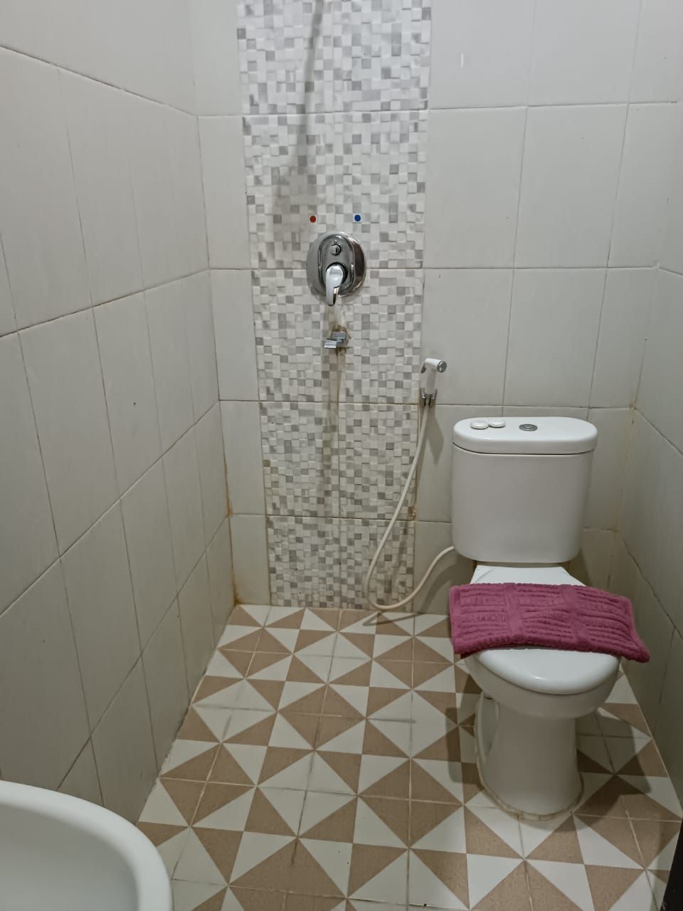 A bathroom with a tiled floor, a toilet, and a shower area.