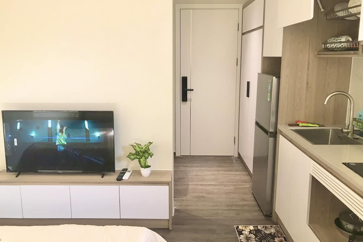 A compact hotel room with a flat-screen TV, a small potted plant, a kitchenette with a refrigerator and sink, and a door leading to a hallway.