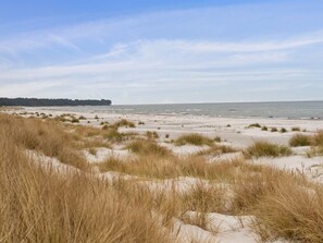 Une plage avec des dunes de sable et une forêt en arrière-plan.