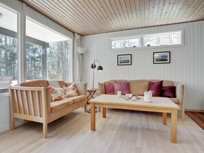 Televisio, takka, DVD-soitin