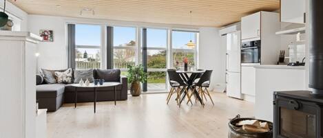 TV, fireplace, DVD player