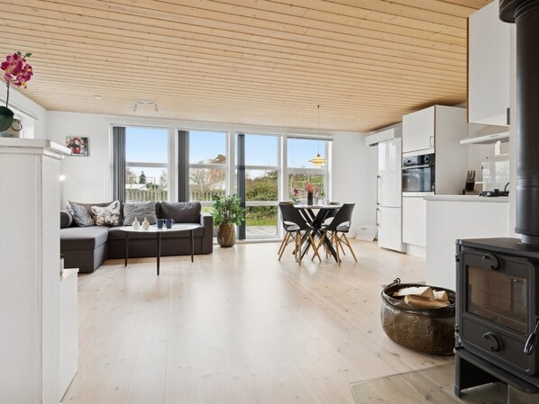 TV, fireplace, DVD player