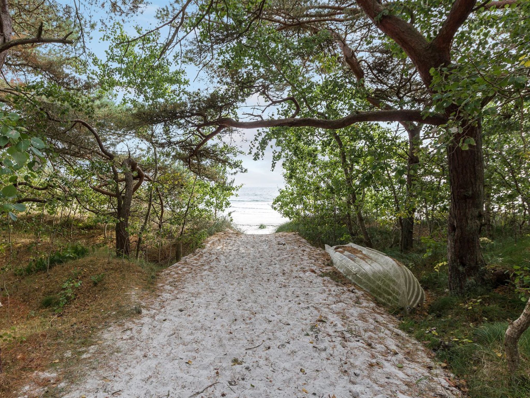 Een zandpad dat naar een strand leidt, omringd door bomen en begroeiing.