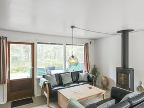 TV, fireplace, DVD player