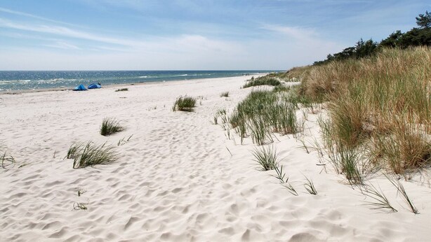 A sandy beach with dunes and sparse vegetation. - "Michel" - 300m from the sea by Interhome (Nexø)