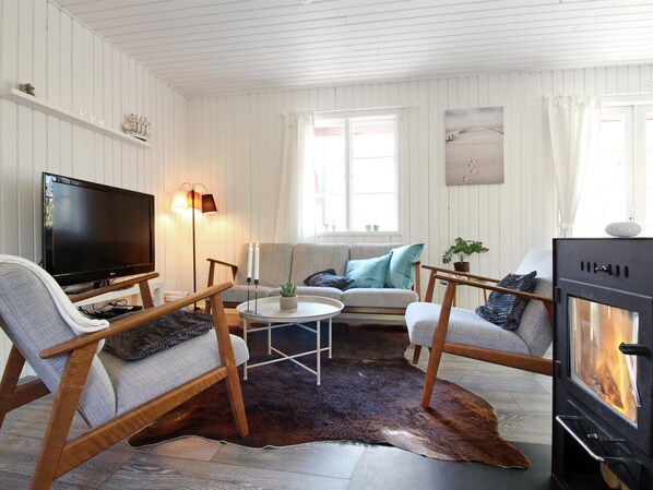 Fernseher, Kamin, DVD-Player
