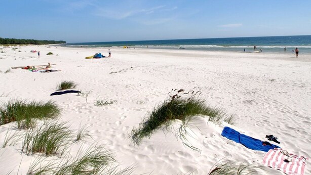 A beach with white sand, sparse vegetation, and a clear blue sky. - "Ronja" - 300m from the sea by Interhome (Nexø)