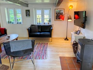 Televisión y chimenea 