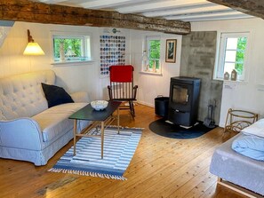 Televisión y chimenea 