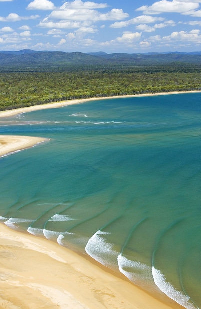 Kangaroo Kabin - Entire cabin, 5mins to the beach, pet friendly.