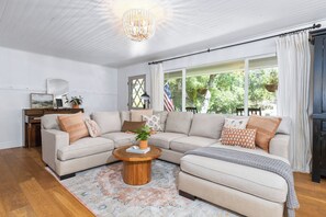 TV connectée, cheminée, jeux vidéo, lecteur de DVD