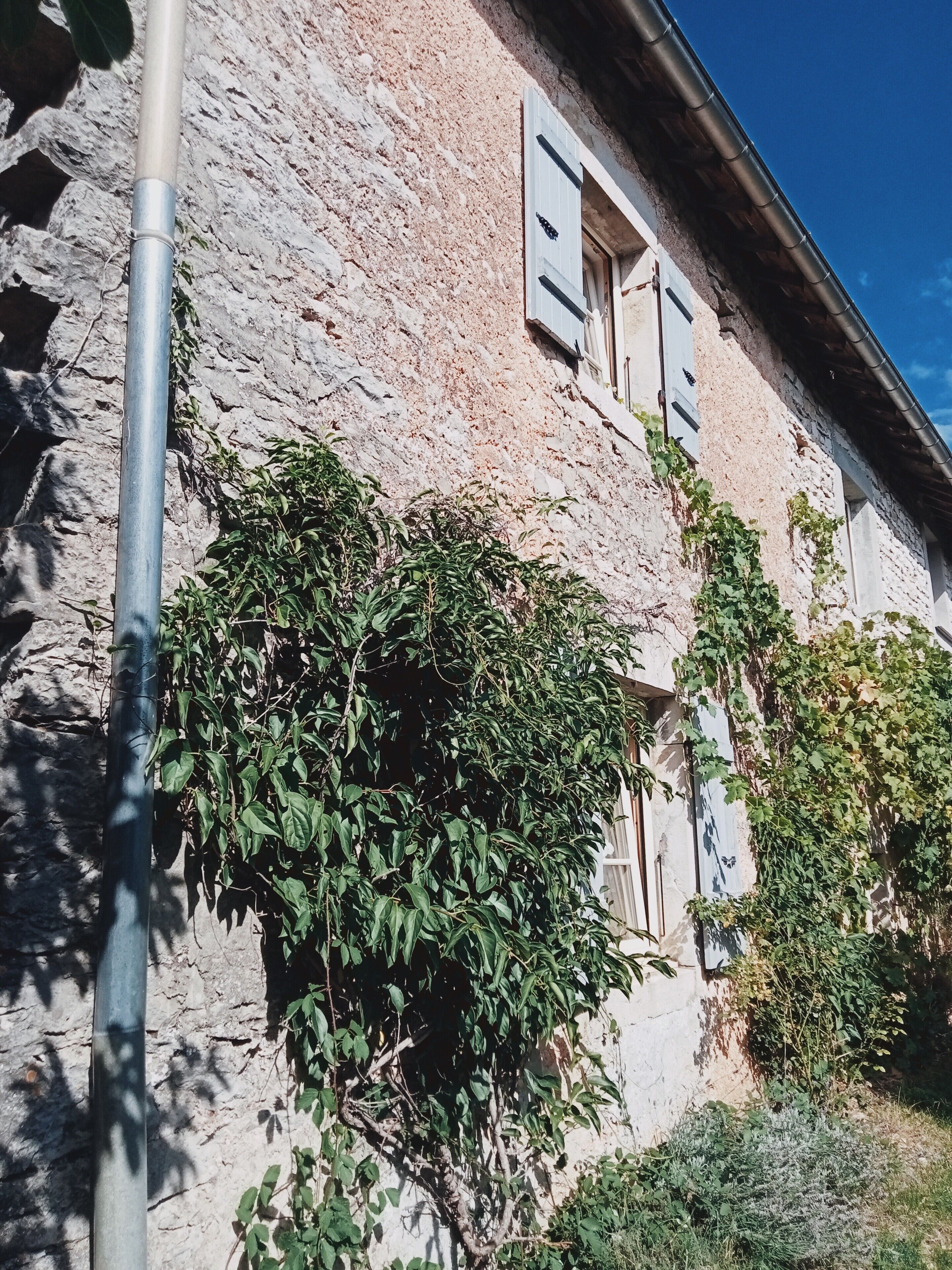 Un bâtiment en pierre doté d’une fenêtre et de volets, entouré de verdure.