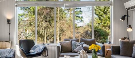 Télévision, cheminée