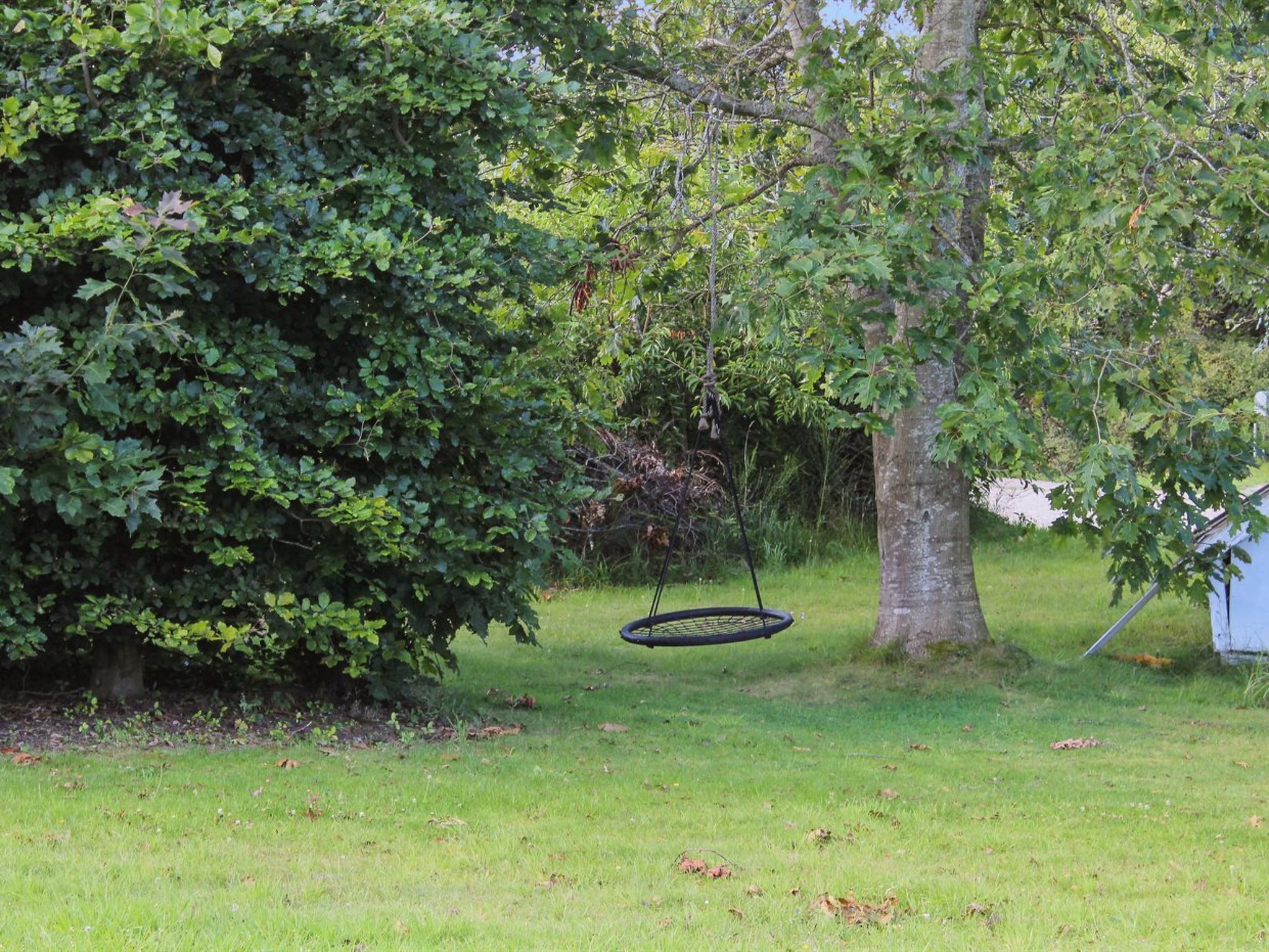 Een tuin met een schommel, een grote boom en een gazon.
