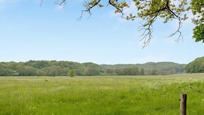A grassy field with a wooden post and wire fence.
