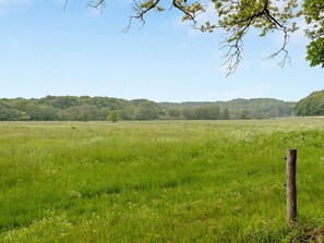 A grassy field with a wooden post and wire fence.