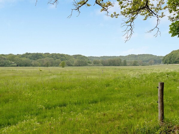 A grassy field with a wooden post and wire fence.