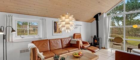 TV, fireplace, DVD player