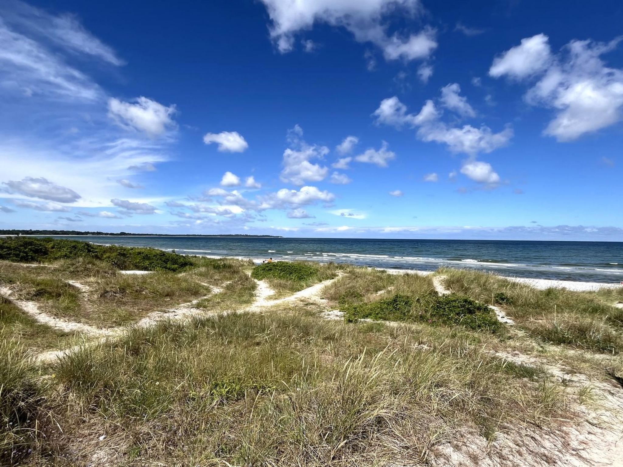 Paesaggio costiero con cielo sereno, sentieri sabbiosi e dune erbose che si affacciano sul mare.