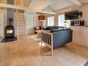 TV, fireplace, DVD player