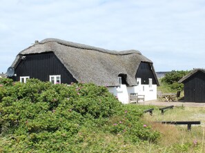 Udendørsområde