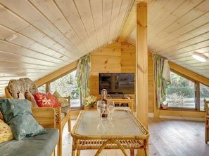 TV, fireplace, DVD player
