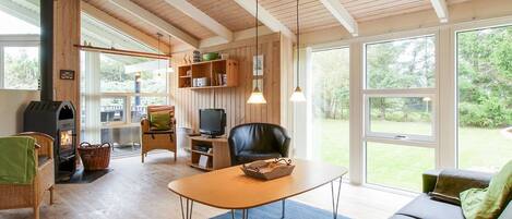 TV, fireplace, DVD player