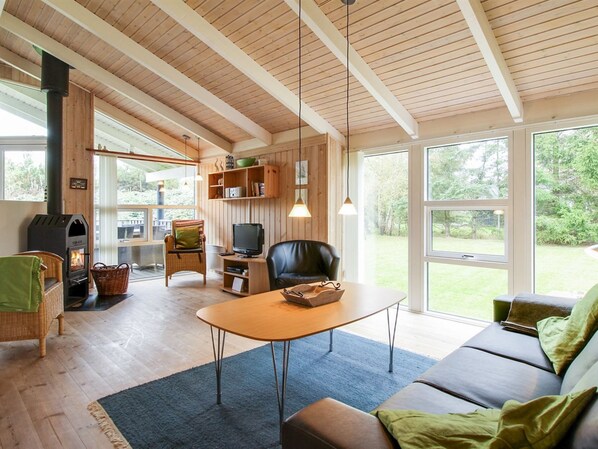 TV, fireplace, DVD player