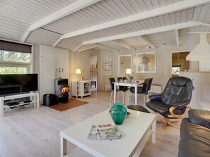 TV, fireplace, DVD player