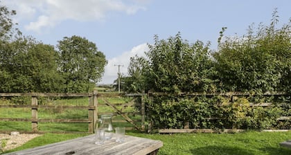 The Paddock