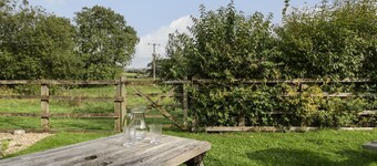 The Paddock