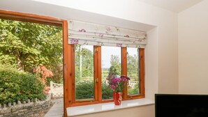 Una stanza con una grande finestra, un termosifone, una televisione e un vaso di fiori.